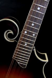 View harptech's Homepage