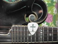 View Havemandolinwilltravel's Homepage