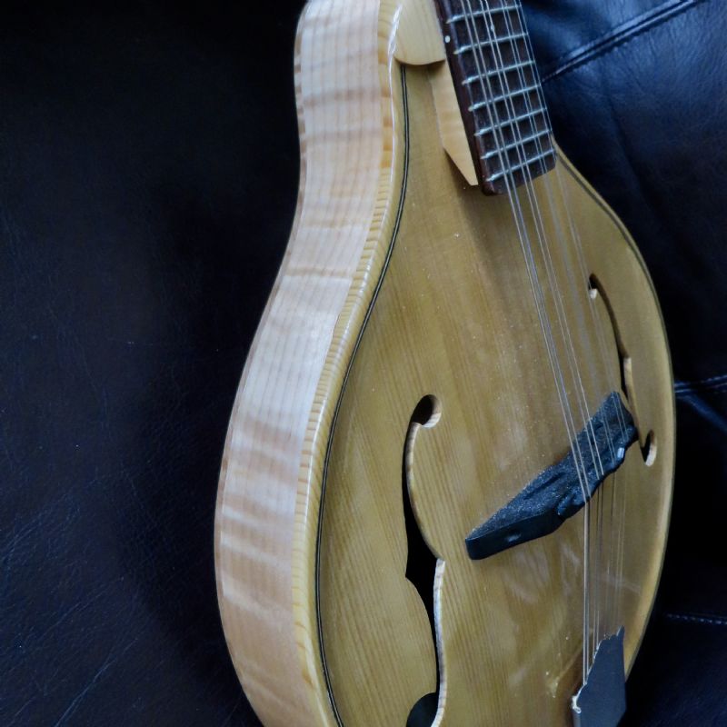 Morris Mandolin Greg Connor's Photos Mando Hangout