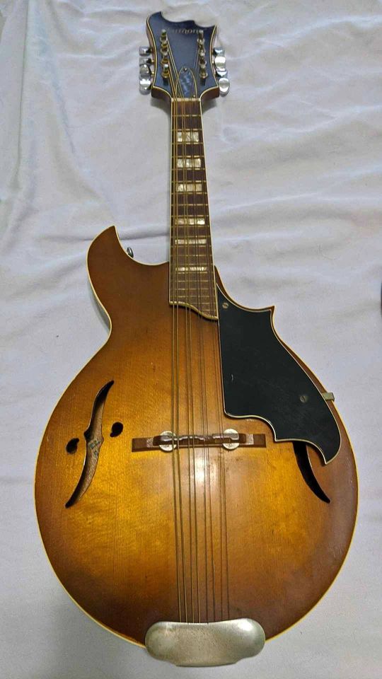 does anyone know what model / year this Harmony Mandolin is? Discussion Forums Mando Hangout