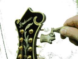 Click for Large Version