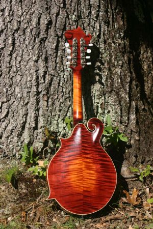 Click for Large Version