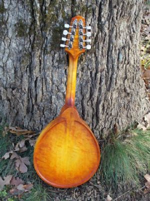 Click for Large Version