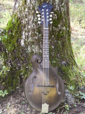 Click for Large Version