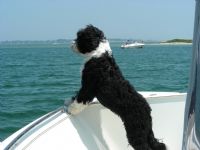 View jwstahl's Homepage