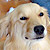 View jack crowder's Homepage
