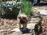 View Preston Thompson's Homepage