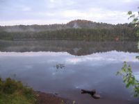 View Zach Hoyt's Homepage