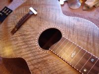 View paddy burgin's Homepage