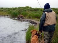 View bgearry's Homepage