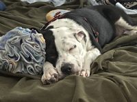 View HighLonesomeF5's Homepage