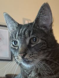 View Cattywampus' Homepage