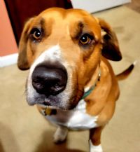 View Two Sheds' Homepage