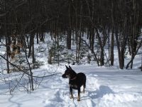 View teepeebiking's Homepage