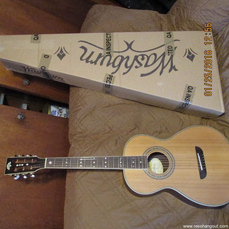 Washburn wp26sns sales