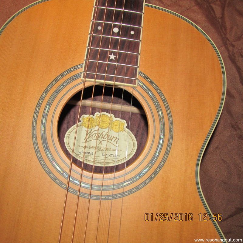 Washburn wp26sns sales