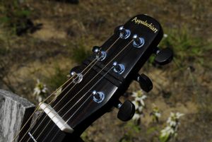 Click for Large Version