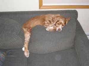 Click for Large Version