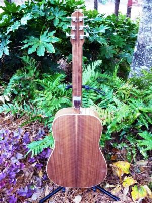 Click for Large Version