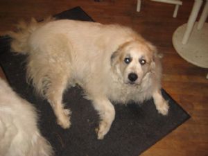 Click for Large Version