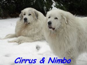 Click for Large Version