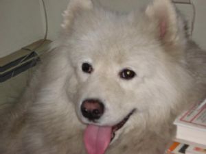 Click for Large Version