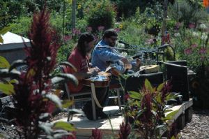 Click for Large Version